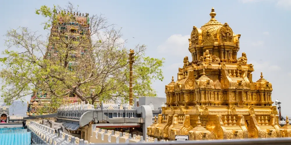 Tirupati Divine Journey