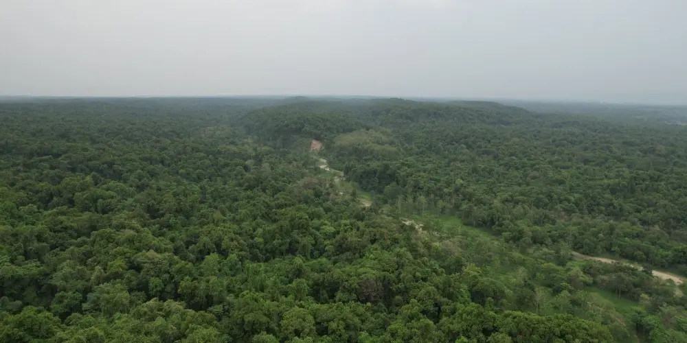 Bihar Heritage Explorer