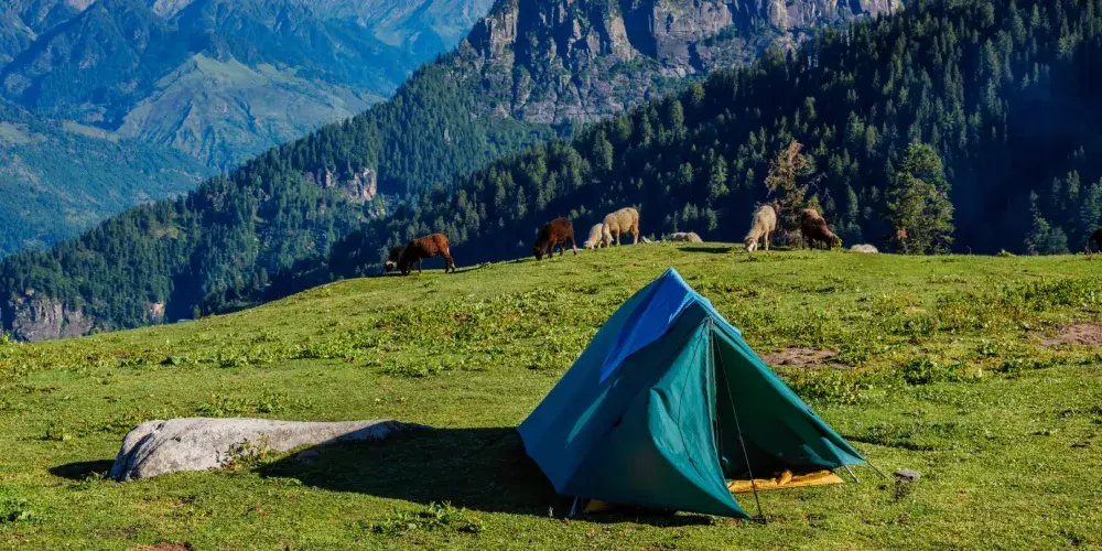 Mesmerizing Himachal Adventure