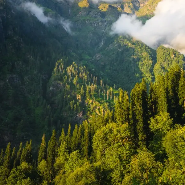 Mesmerizing Himachal Adventure