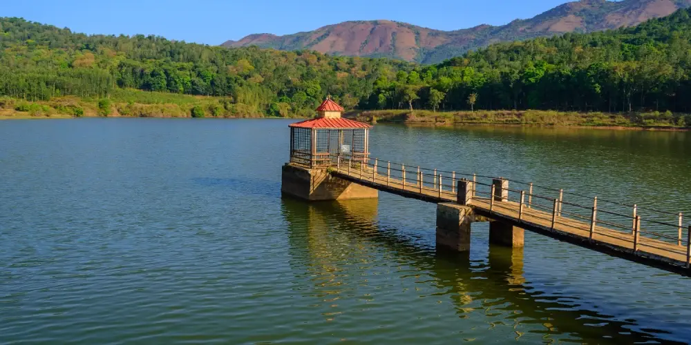 WESTERN GHATS BIODIVERSITY