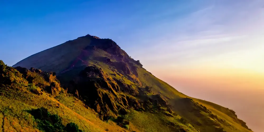 WESTERN GHATS BIODIVERSITY
