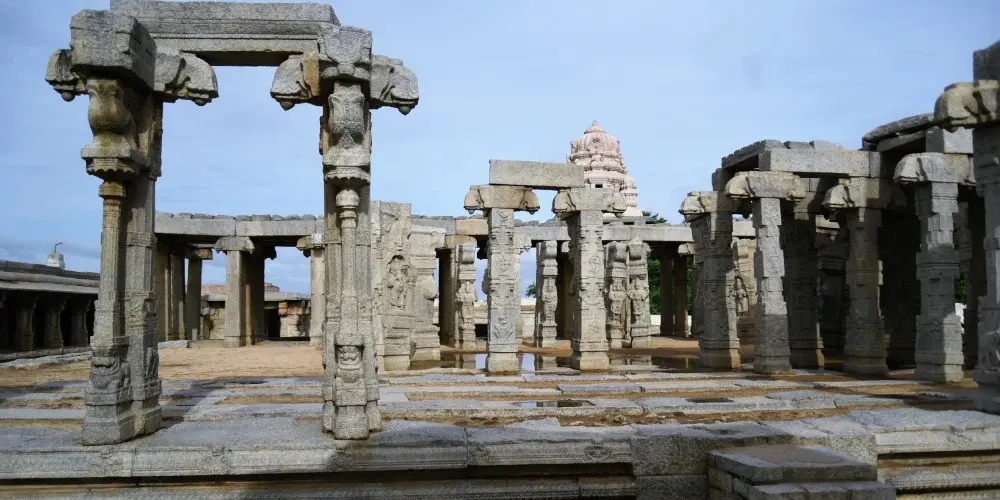 Wild Karnataka Odyssey