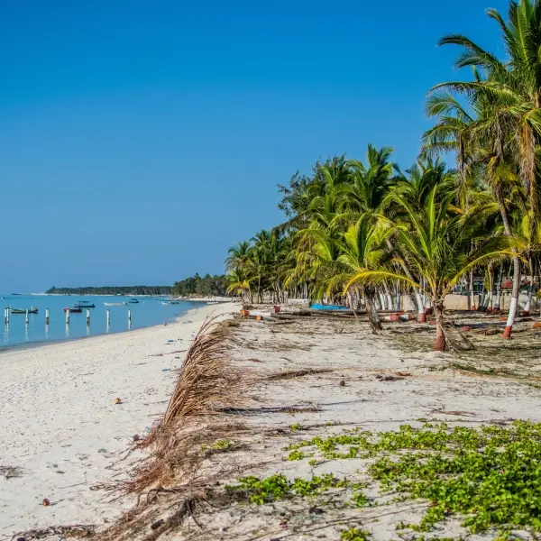 Lakshadweep Island Odyssey
