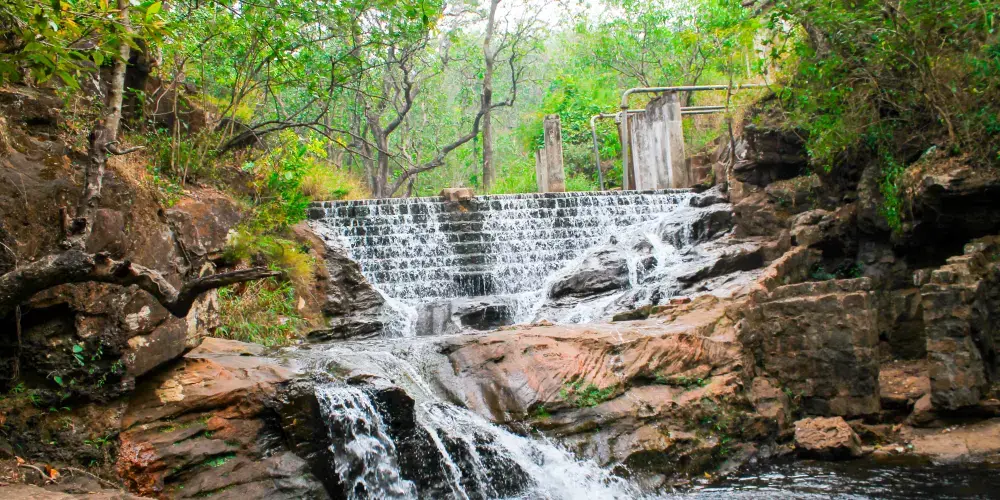 Tiger Triangle Expedition