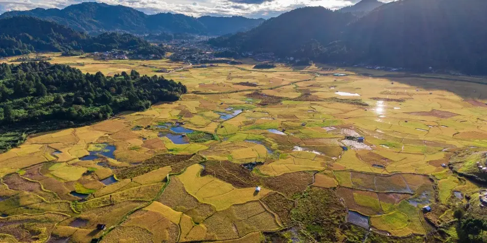 Living Traditions Circuit