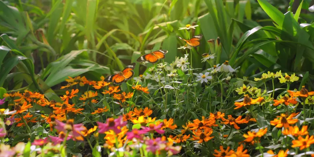 Punjab Countryside Escape