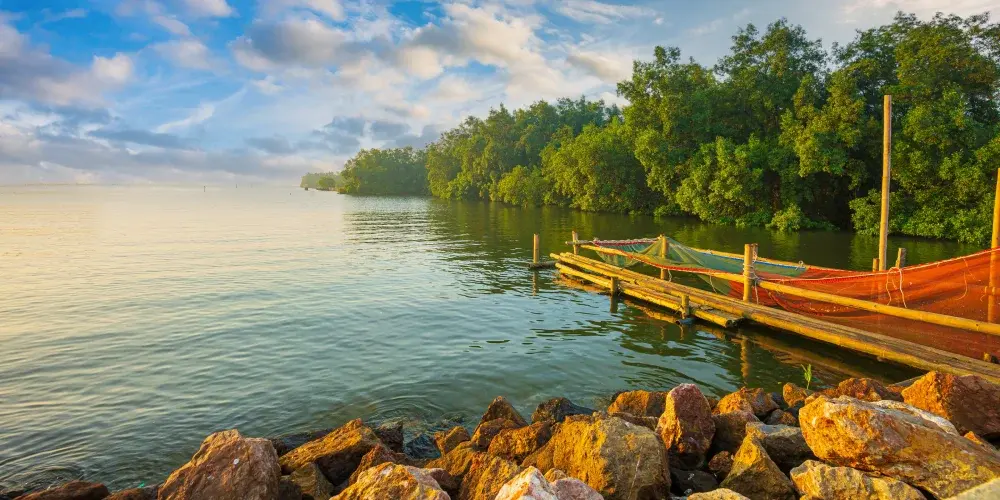 Enchanted Himalayan Journey