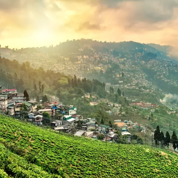 Enchanted Himalayan Journey