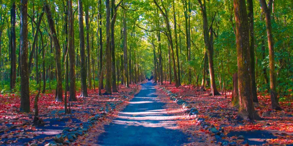 Adventure Sports Paradise - Uttarakhand