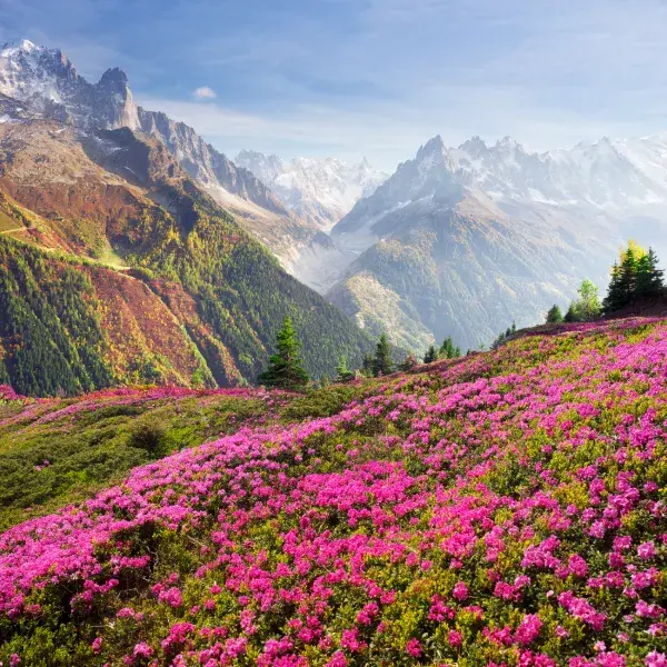 Kumaon Hill Station Retreat