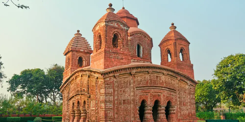 Darjeeling Tea Garden Circuits