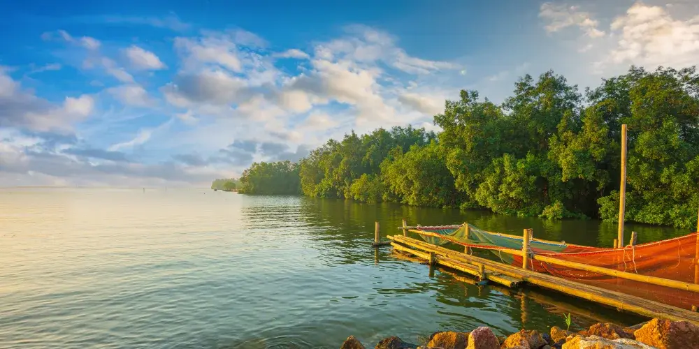 Sundarbans Expedition Circuit