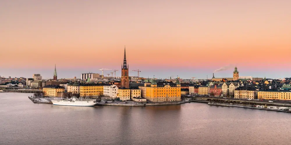 Swedish Scandinavian Discovery