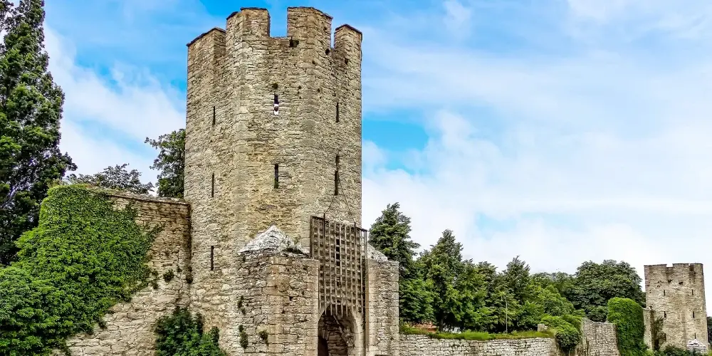 Swedish Scandinavian Discovery