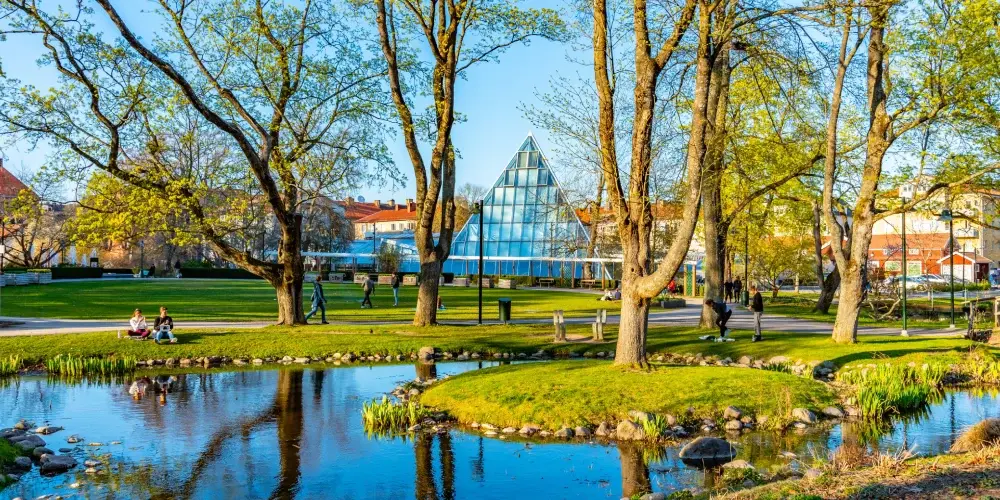 Swedish Scandinavian Discovery