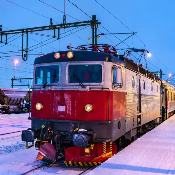 Swedish Scandinavian Discovery