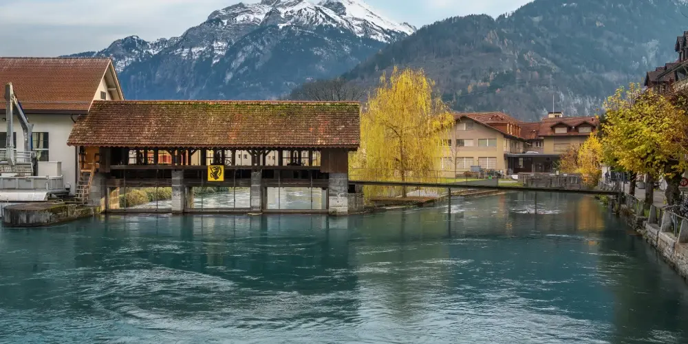 Swiss Alps : Ultimate Mountain Adventure