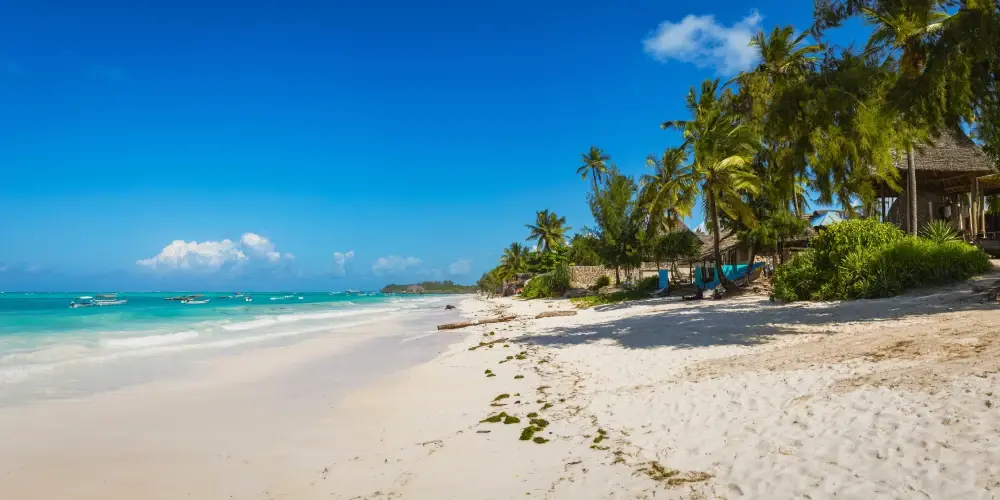 East African Safari Experience