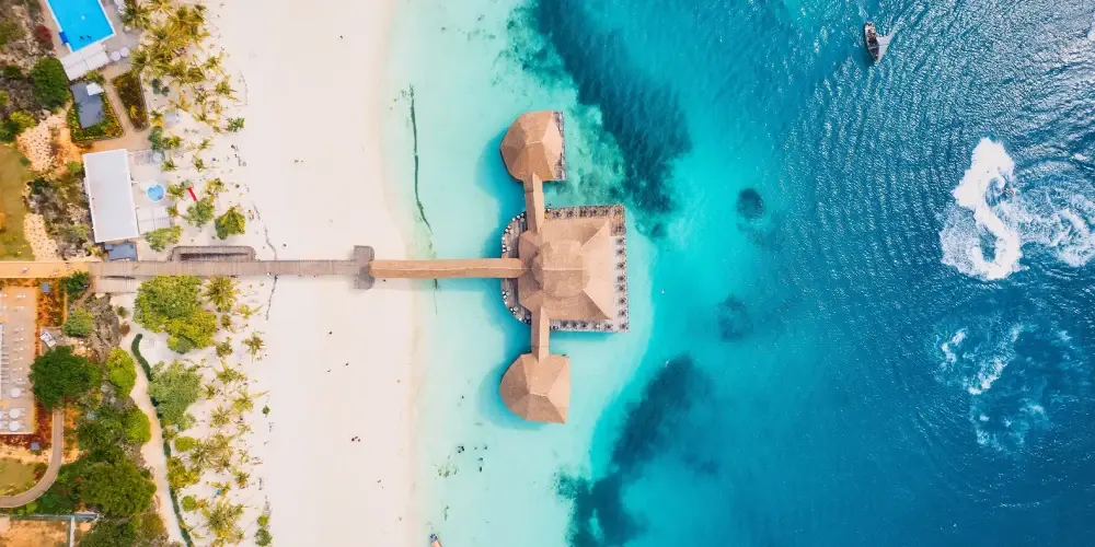 East African Safari Experience