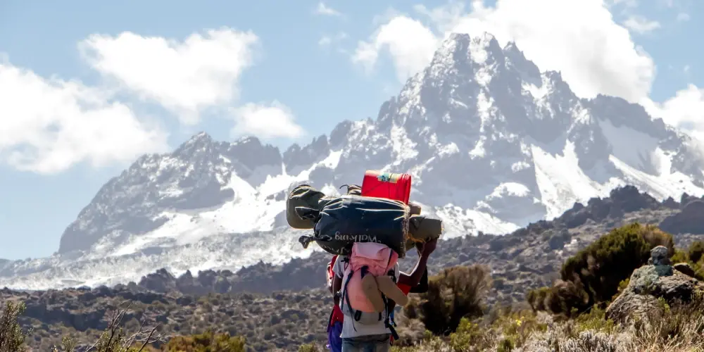 East African Safari Experience