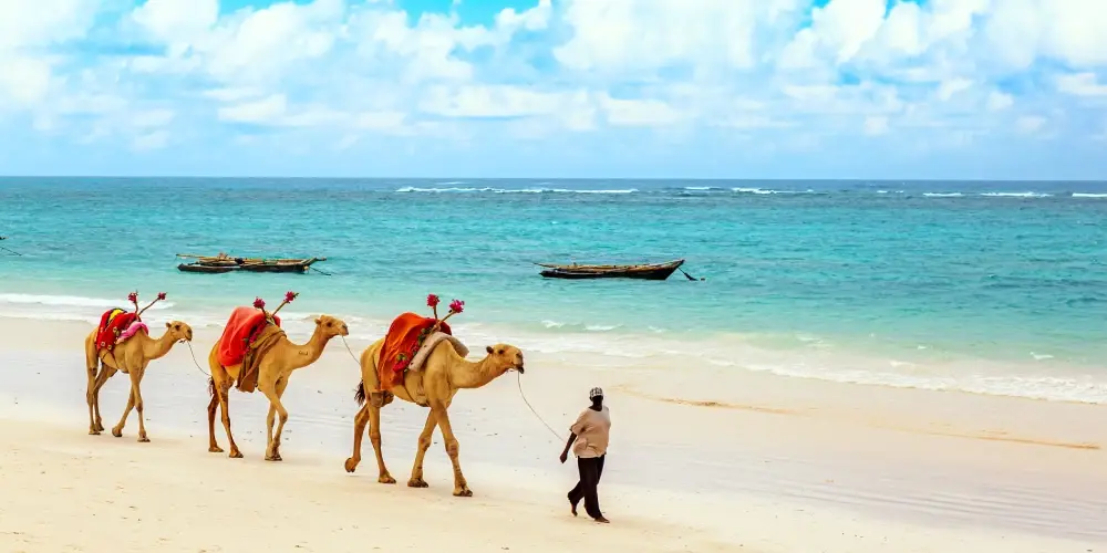 Kenya Luxury Safari & Conservation