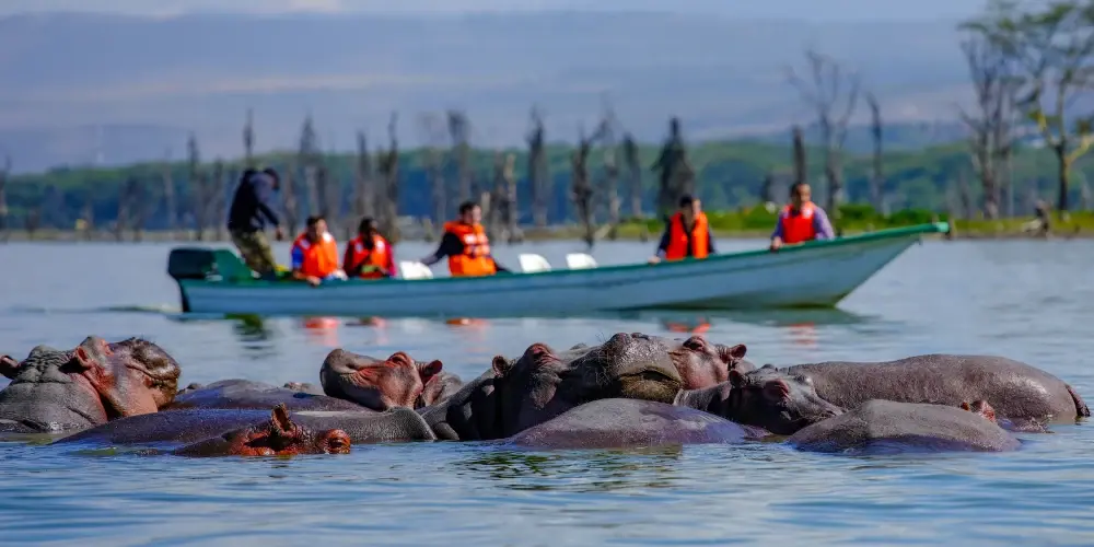 Kenya Luxury Safari & Conservation