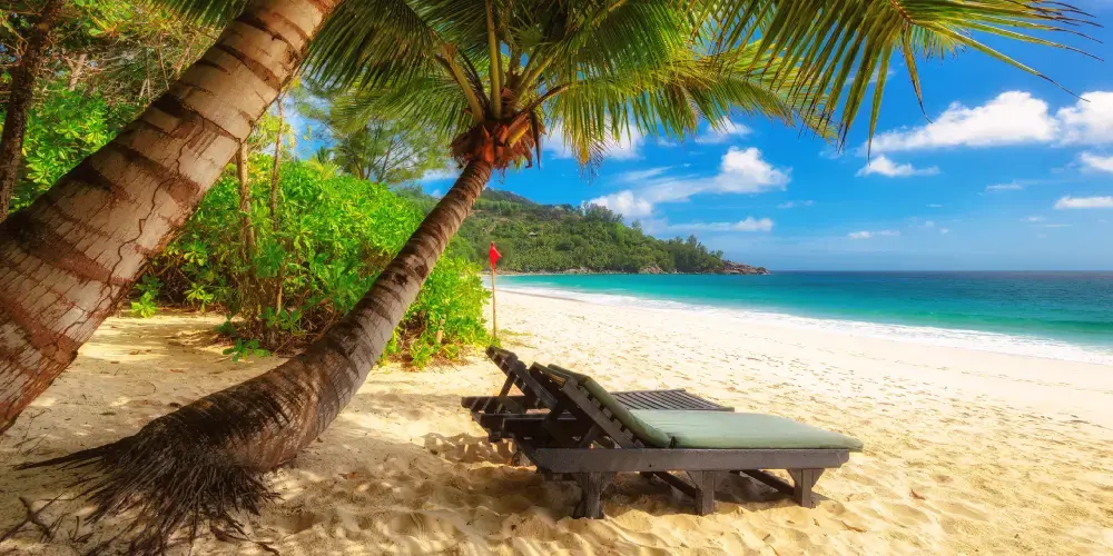 Tropical Seychelles Escape