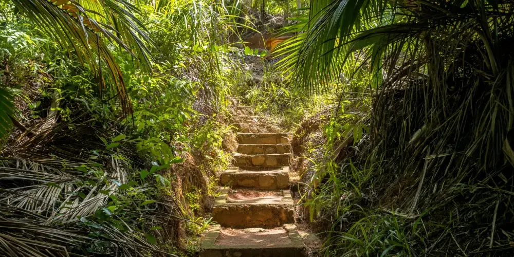 Tropical Seychelles Escape