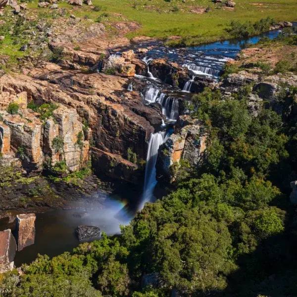 Vibrant South Africa