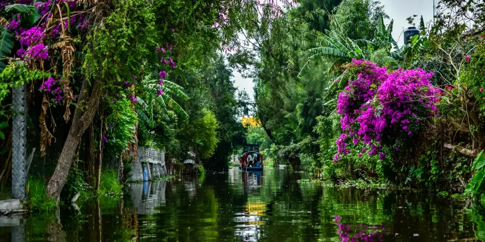 Mexica Heritage Explorer