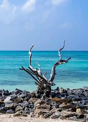 Lakshadweep
